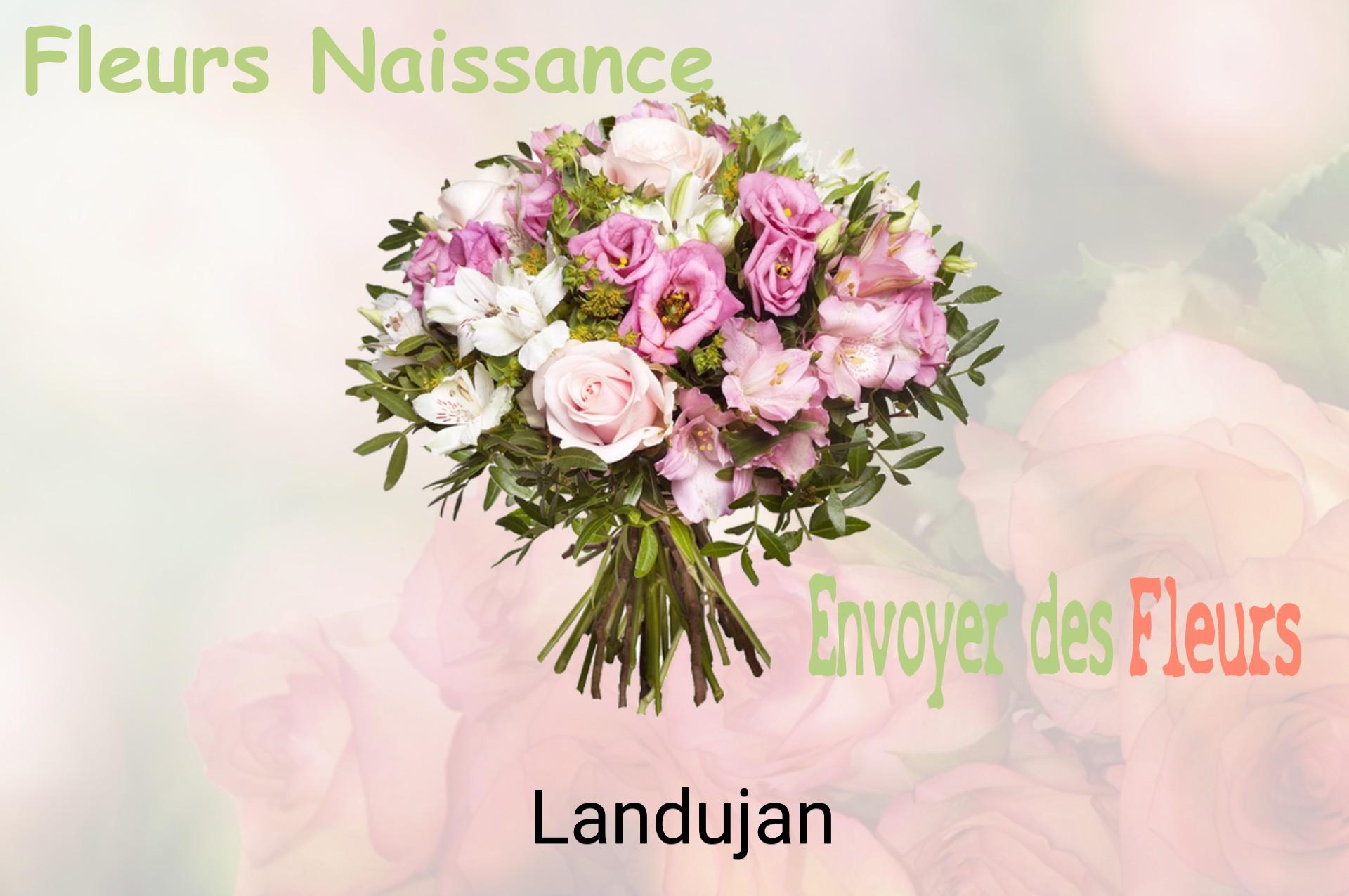Bouquet de fleurs de naissance livré à Landujan